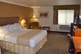 Best Western Town and Country Lodge - Guest Room