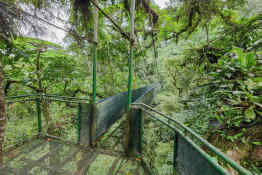 Heliconias Rainforest Lodge Exploration Trail