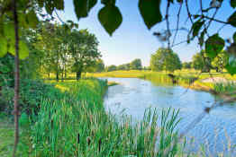 Roganstown Hotel & Country Club - Golf Course