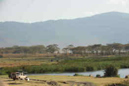 Elewana the Manor at Ngorongoro