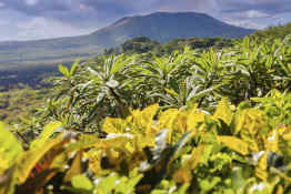 Masaya Volcano National Park