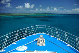 Great Barrier Reef Cruise