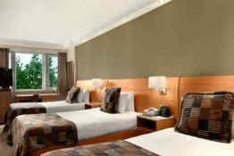 Hilton London Metropole • Triple Room