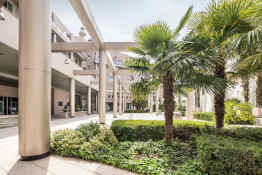 Terrace - ILUNION Alcala Norte