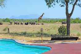 Tangala Safari Camp