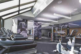 Montreal Marriott Champlain Chateau Fitness Area