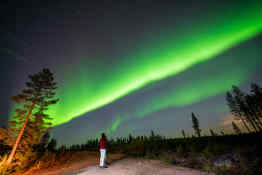 Northern Lights