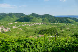 Prosecco Hills, Valdobbiadene