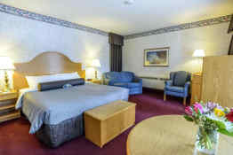 Bow View Lodge • Guest Room