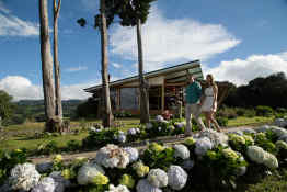 Chayote Lodge
