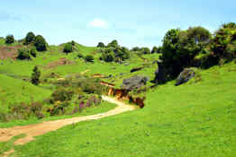 Waitomo, New Zealand