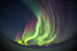 Northern Lights