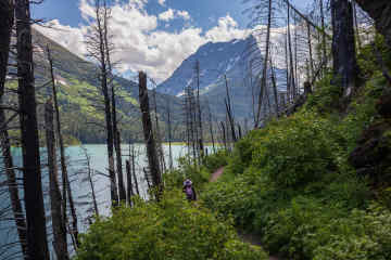 Glacier National Park, Montana