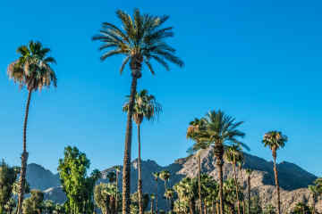 Palm Springs, California