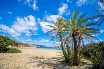 Vai Palm Beach