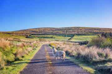 Driving in Ireland