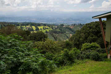 Chayote Lodge Forest View