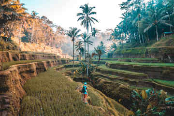 Tegalalang Rice Terraces, Bali