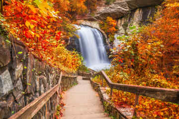 Waterfalls in Pisgah National Forest