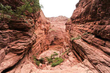 Quebrada de Cafayate