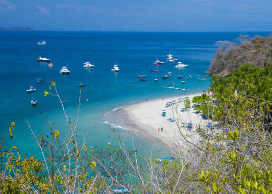 Tortuga Island