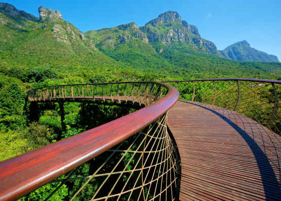 Kirstenbosch Botanical Garden in Cape Town