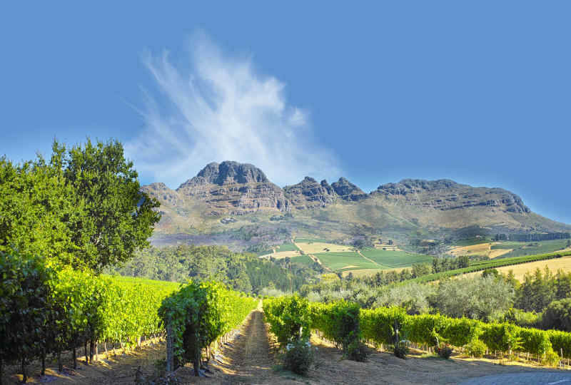 South Africa Vacation Packages & Deals Inclusive of Flight & Hotel