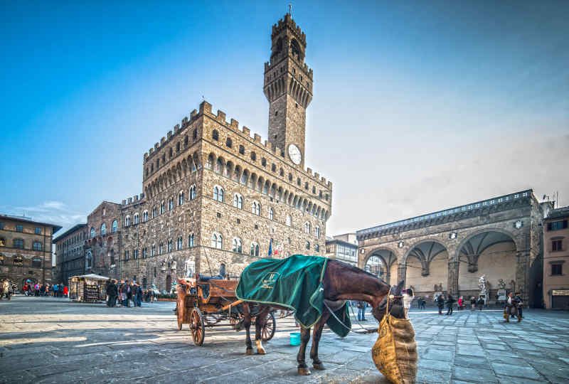 Piazza della Signoria • Florence