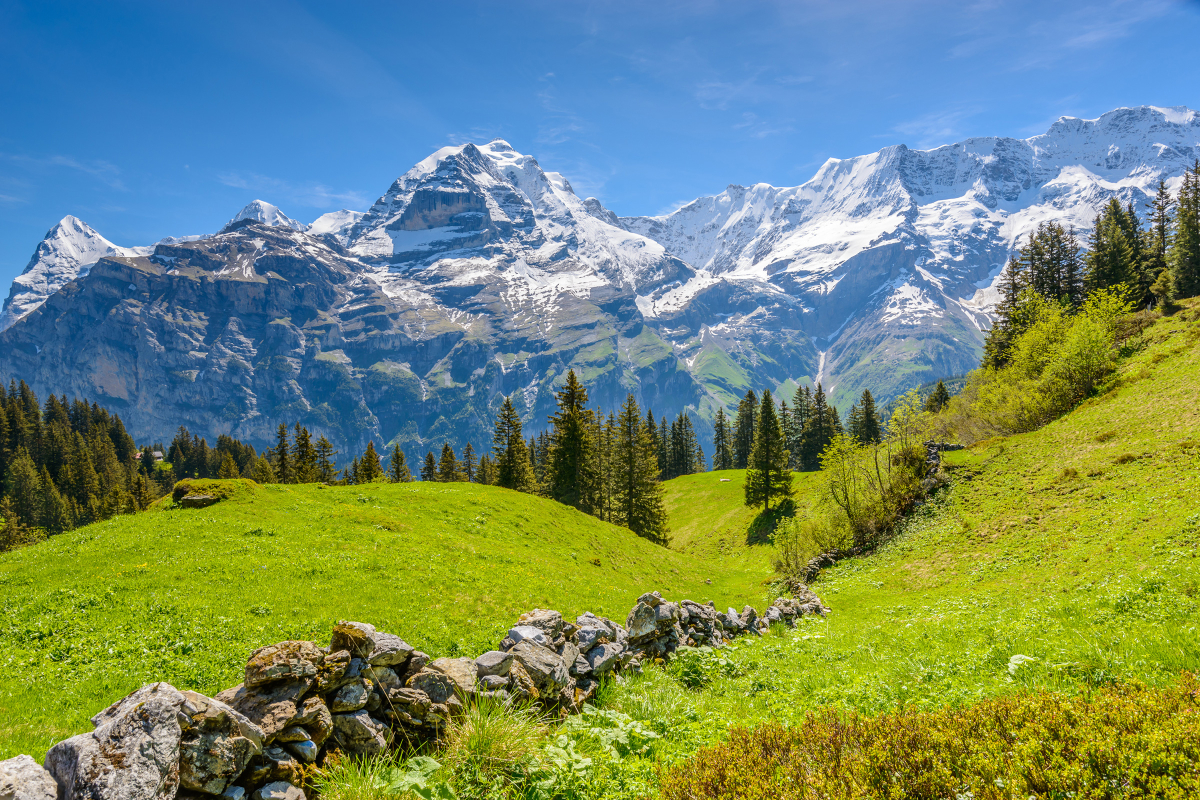 local tour package in switzerland