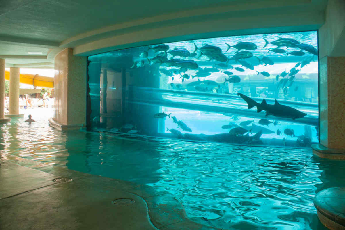 Лас Вегас отель Golden Nugget