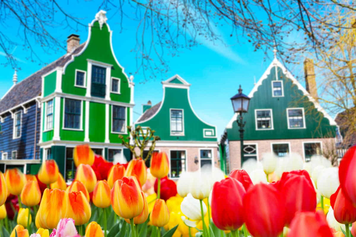 Netherlands Vacations Best of the Netherlands Vacations Package