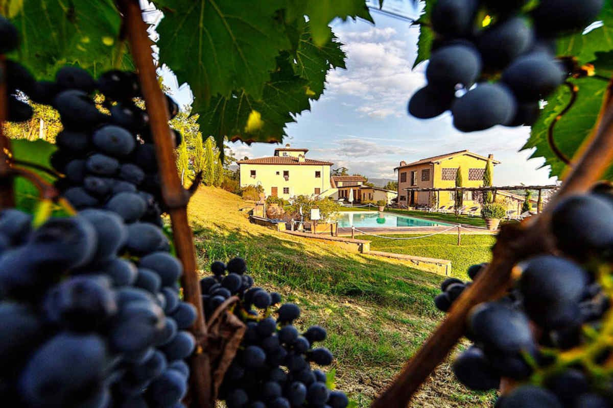 From City Splendor to Country Charm: Rome & Tuscan Villa Escorted ...