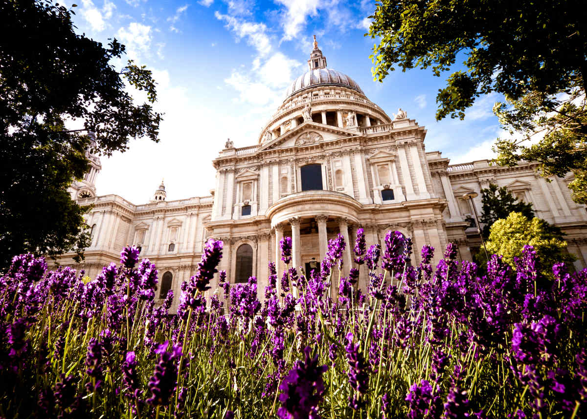 Highlights of London