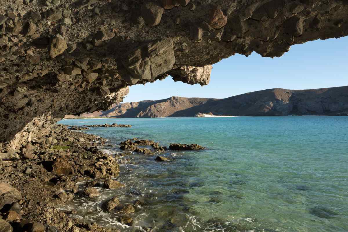 Discover the Wildlife & Beaches of Baja