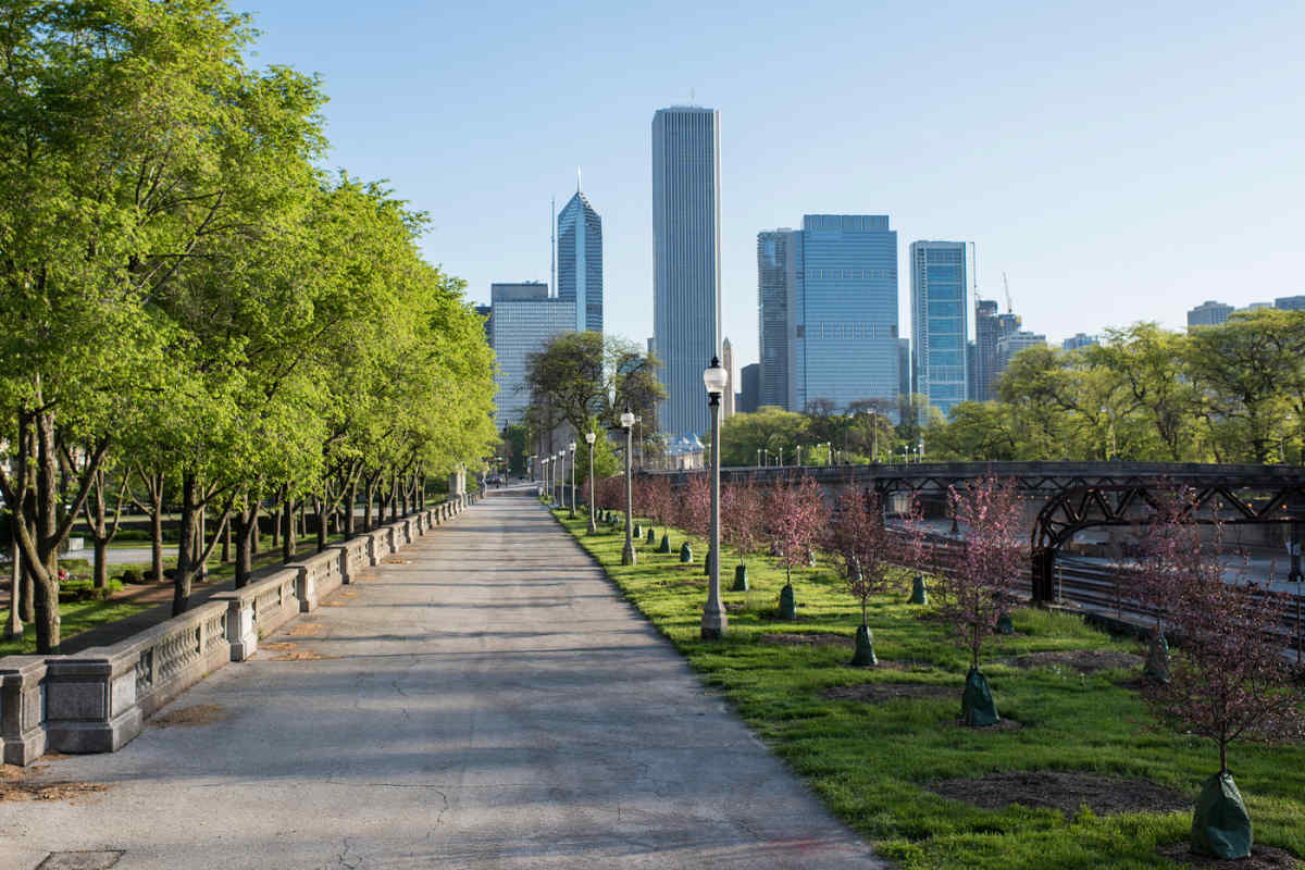 Chicago Explorer - Vacation Package & Tour