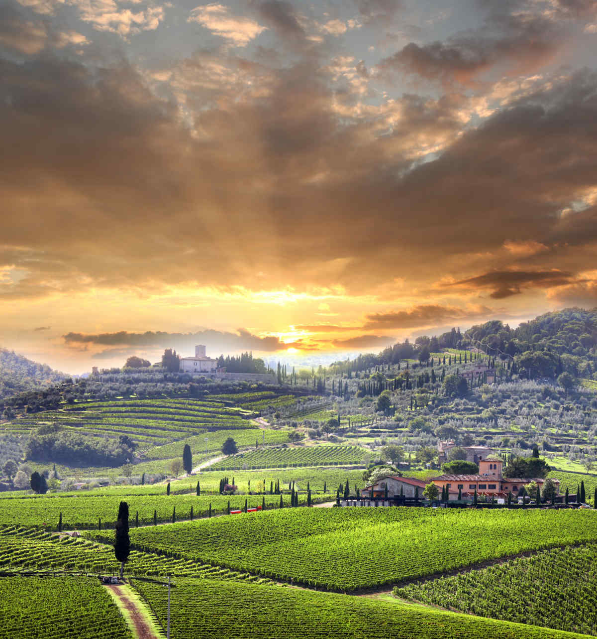 Vacation Package To Tuscany Traditional Tuscan Experience Vacation Tours 