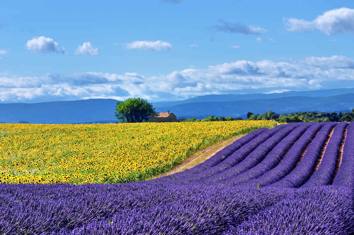 Vacation Package to France Paris & Provence Vacation Package
