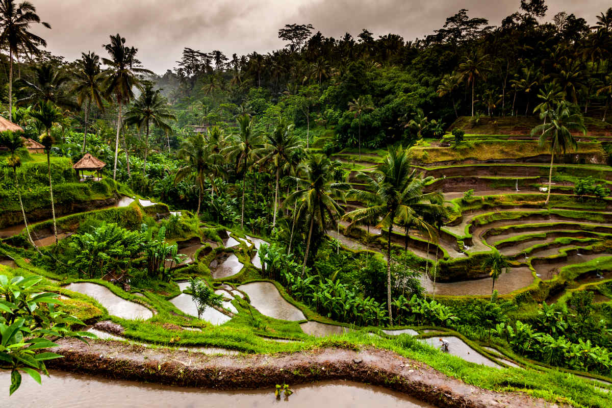 Bali Vacation Packages