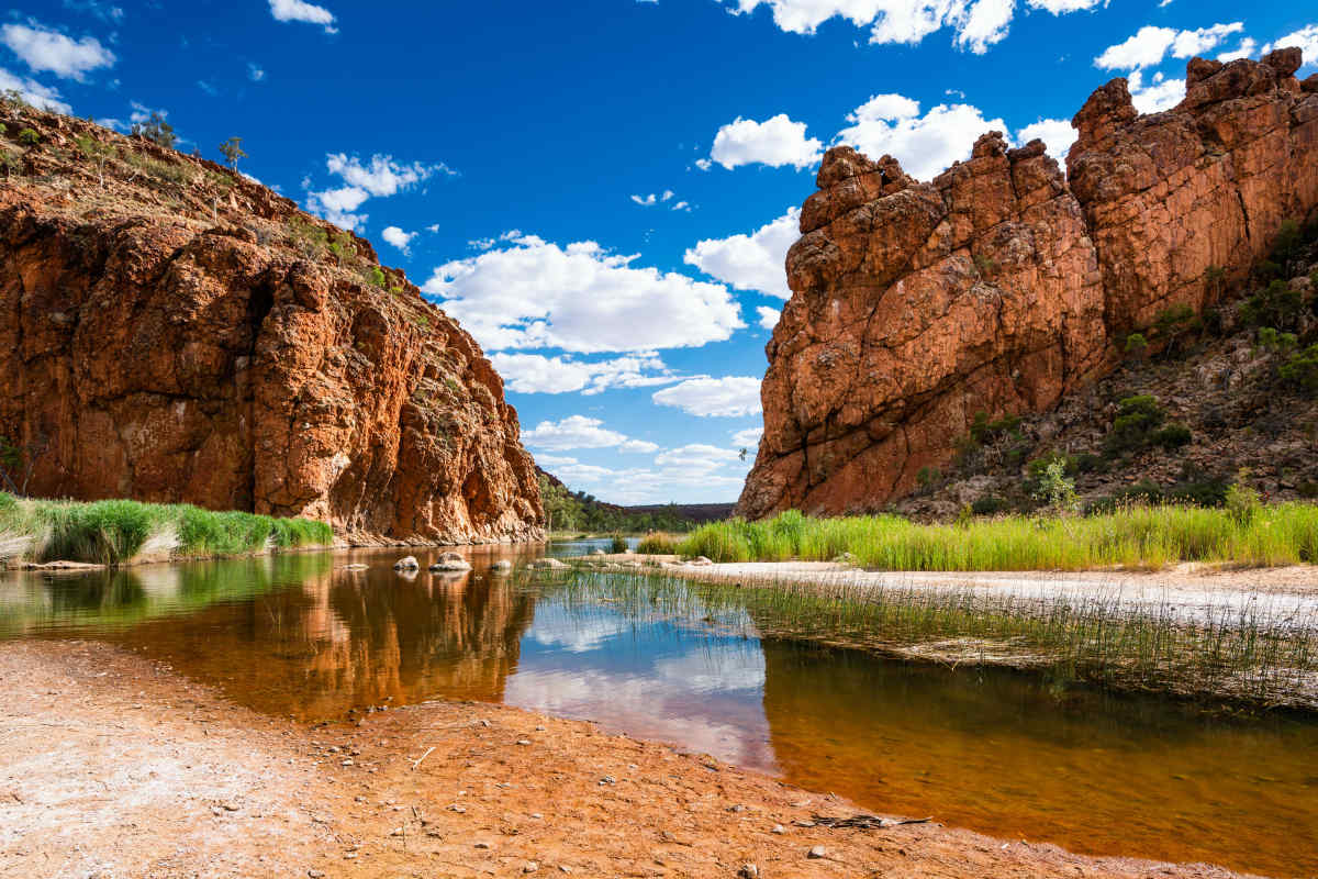 Australian Highlights