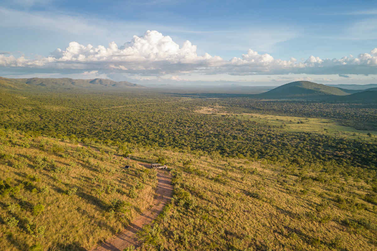 South Africa Getaway: Cape Town & Safari - Vacation Package & Tour