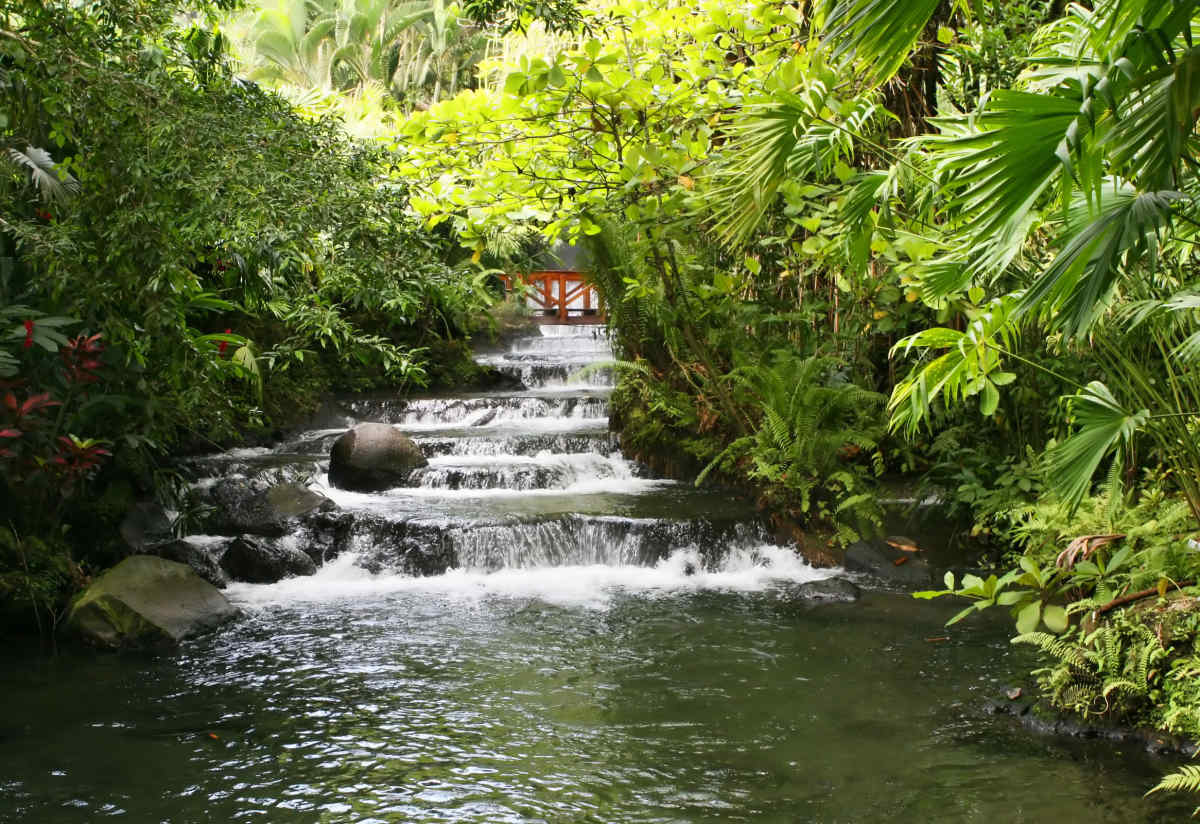 Costa Rica: Jungles and Java Vacation Packages.