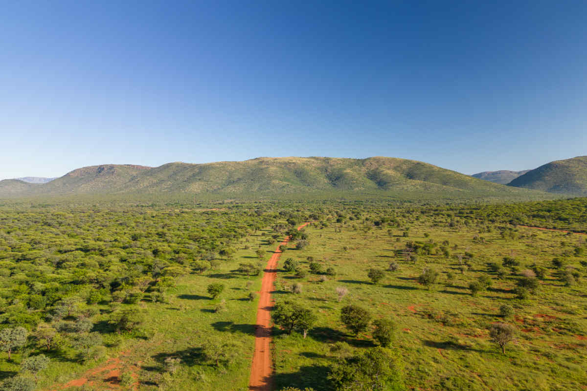 South Africa Getaway: Cape Town & Safari - Vacation Package & Tour