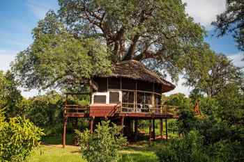 Elewana Tarangire Treetops