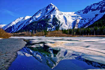 Anchorage wilderness