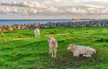 Galway Bay