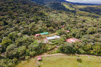 Heliconias Rainforest Lodge