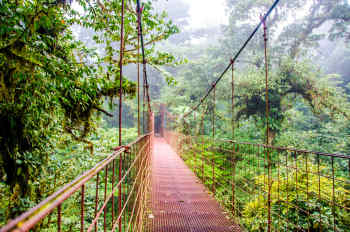 Hanging Bridge in Costa Rica