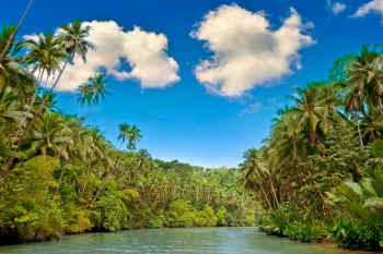 Amazon River