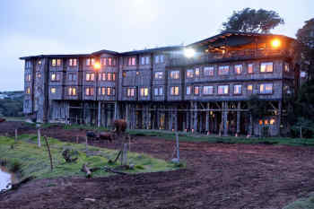 Treetops Hotel