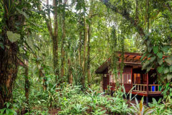 Evergreen Lodge Tortuguero